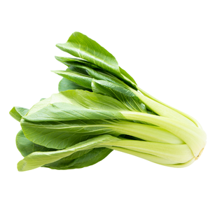 Bok Choy / બુક ચોય