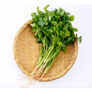 Desi coriander / દેશી ધાણા