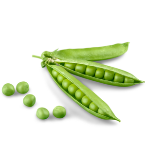 Pea Pod / વટાણા ની શીંગ