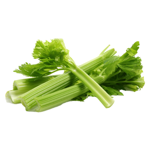 Selery / સેલરી